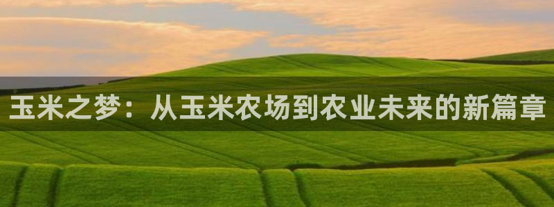 pg电子首页官方网站