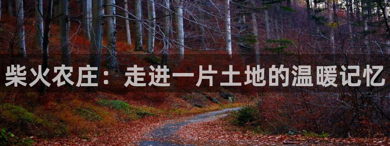 pg电子游戏招财猫视频