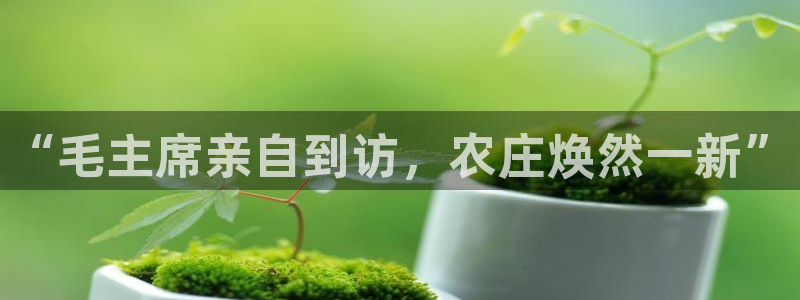 pp电子和pg电子