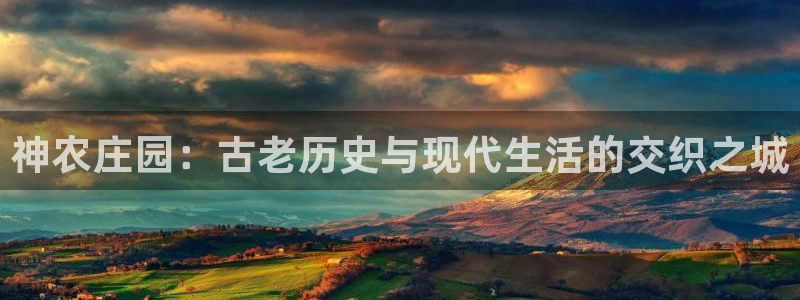 双喜临门pg电子