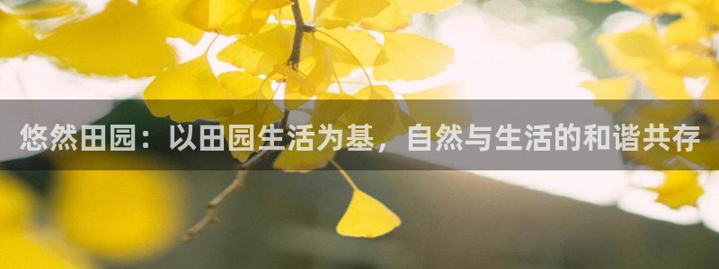 pg电子赏金船长技巧