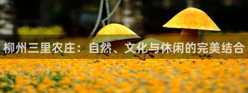 pg电子黄金寻宝城
