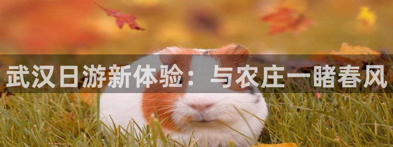 PG电子游戏坑人