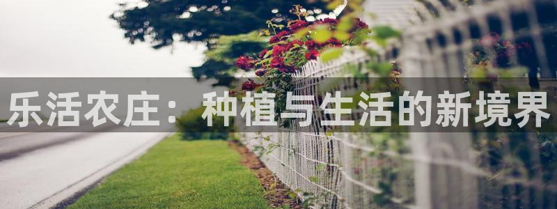 pg电子千赢国际