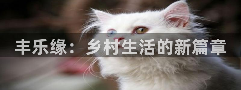 体育娱乐pg电子