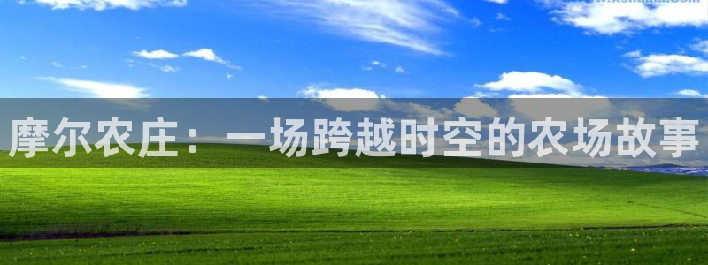 pg电子最新网站入口