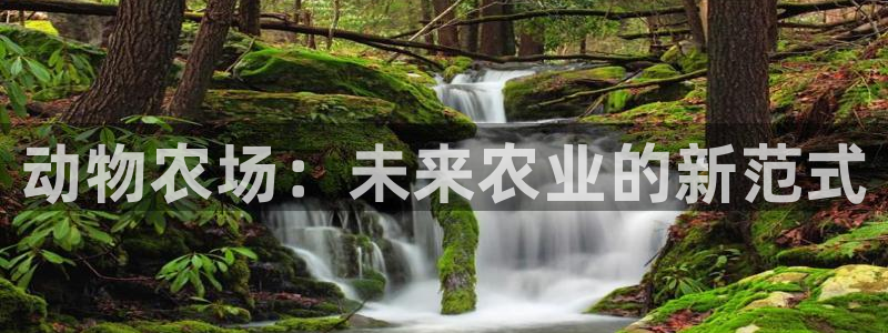 电子pg游戏一条龙