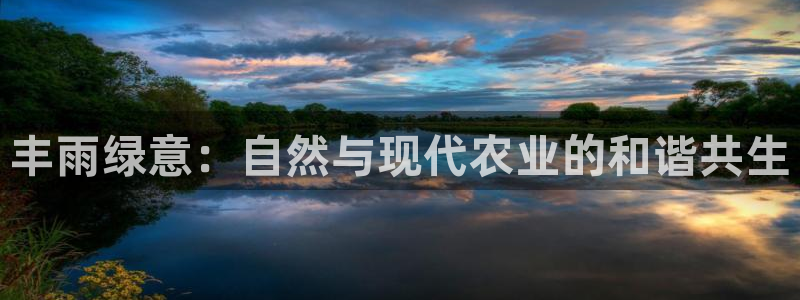 pg电子源代码
