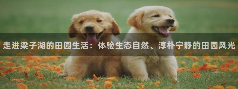 pg电子游戏百鬼夜行