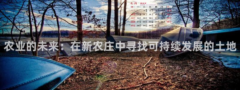 pg电子免费游戏视屏