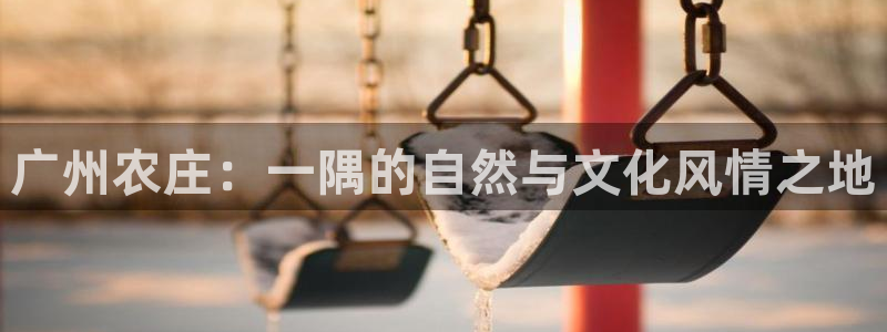 PG电子最后有赢钱的吗