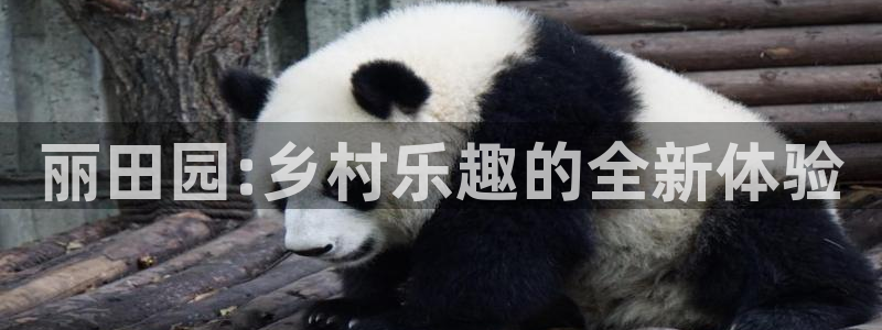 免费pg电子游戏苹果版