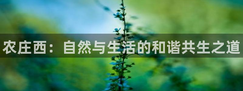 金沙PG电子游戏下载