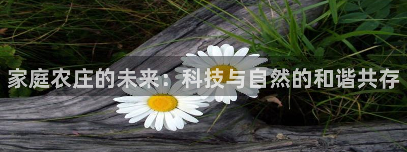 pg电子游戏机制