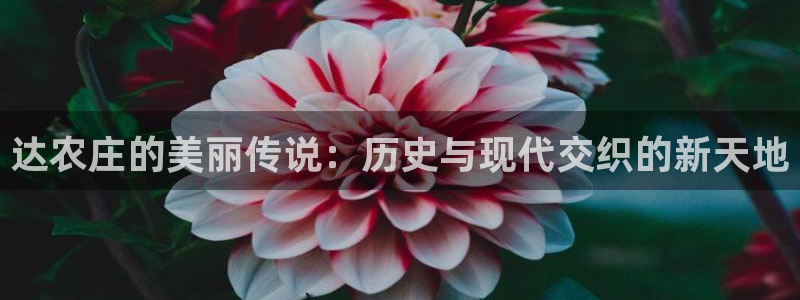 俄罗斯pg电子