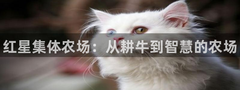 pg电子比基尼派对爆奖
