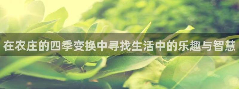 pg电子双喜临门十万倍长什么样