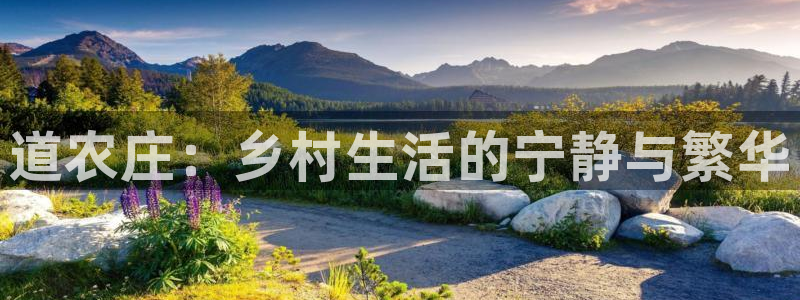 pg电子软件下载
