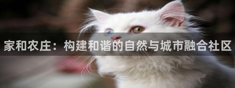 电子pg游戏网址