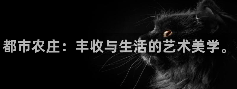 pg电子游戏冰火双骄