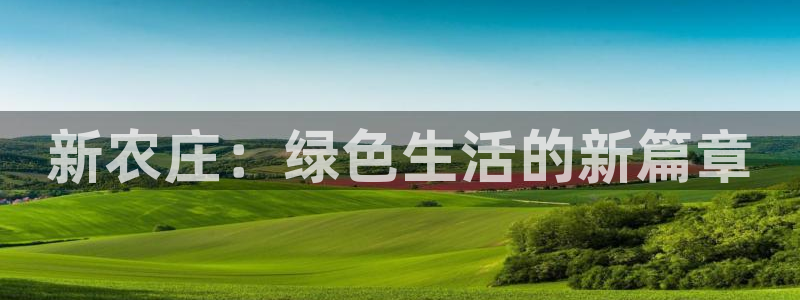 pg电子免费旋转退出后