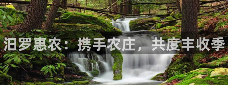 国外pg电子