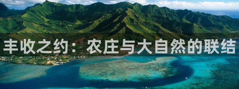pg电子比基尼视频