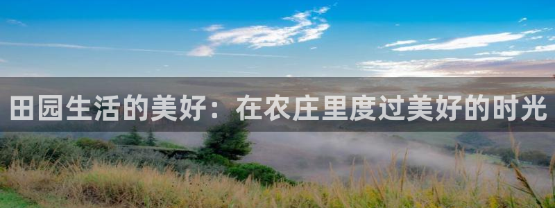 pg电子注单未返回
