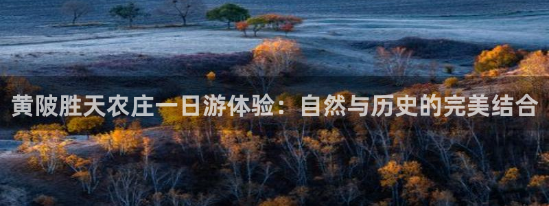 pg电子游艺风控应对