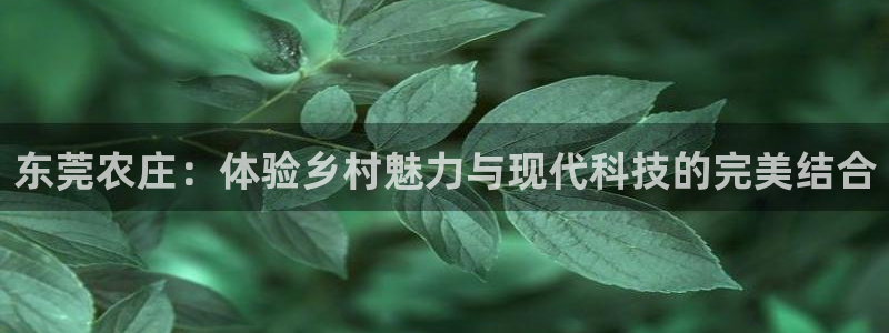 pg电子输了几百万