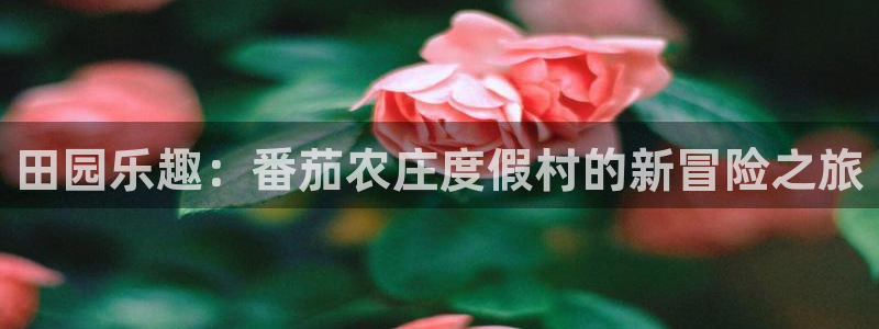pg电子黄金寻宝城
