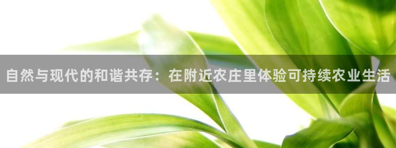 pg电子官网