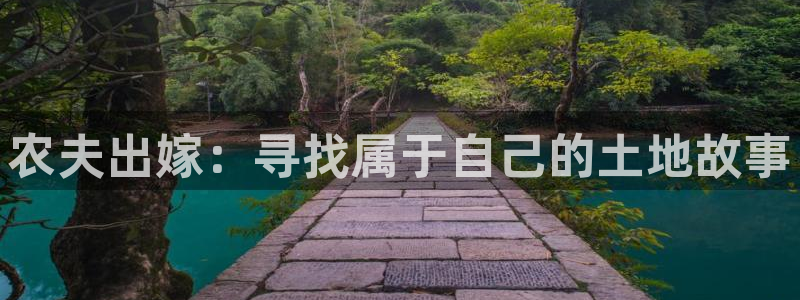 pg电子嘉年华暴分视频