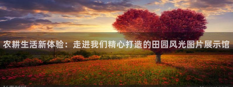 PG电子爱尔兰精灵免费