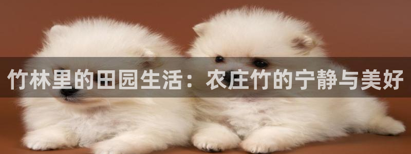 PG电子游戏你输了多少