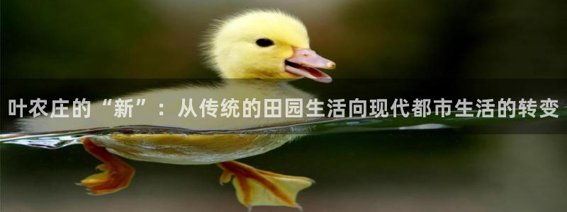 pg电子哪个游戏好爆奖