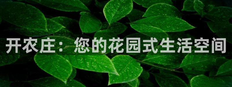 PG电子怎么玩赢钱