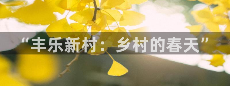 单机pg电子游戏