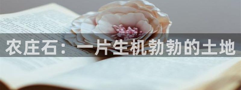 pg电子正规apo