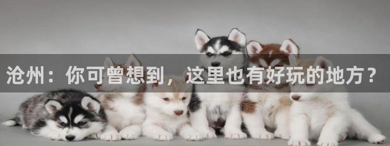 pg电子不给提现