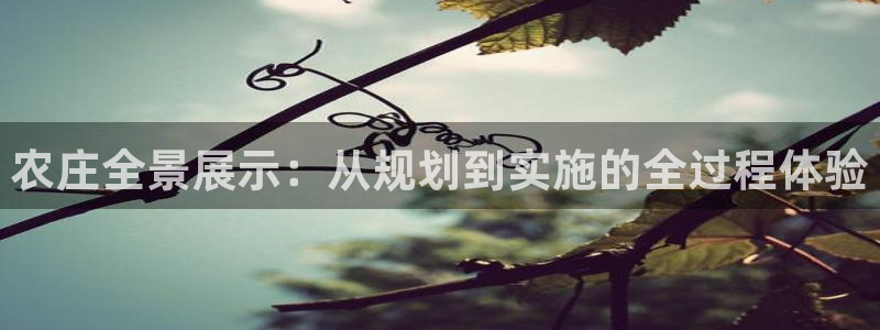 金沙pg电子赢了20万