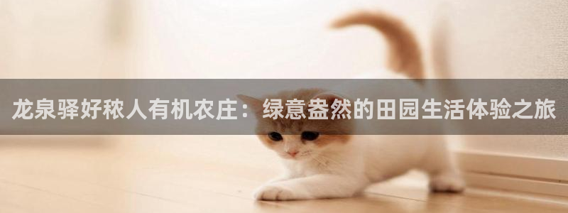 pg电子哪里玩破解版