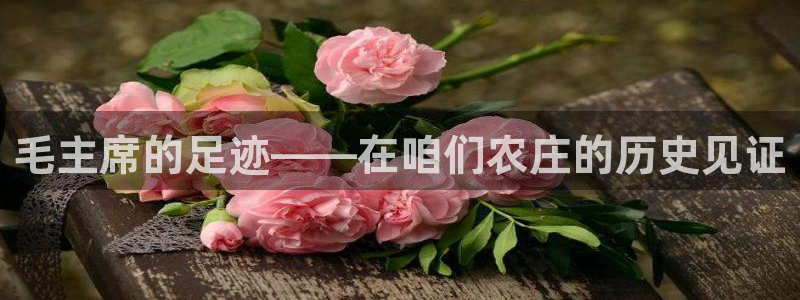 pg电子美洲野牛视频