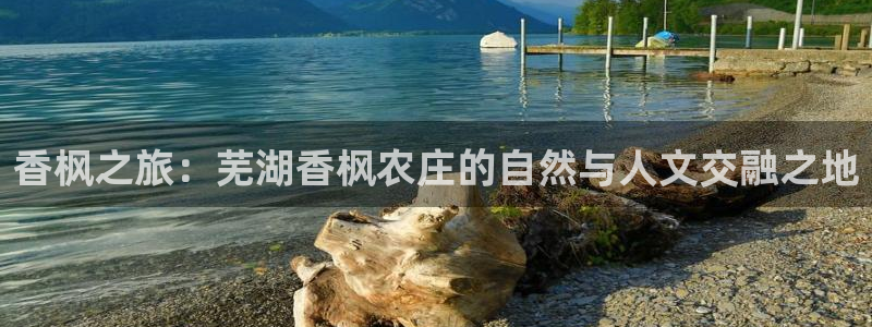 pg电子代码