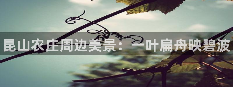 PG电子试玩哪些网站可以玩