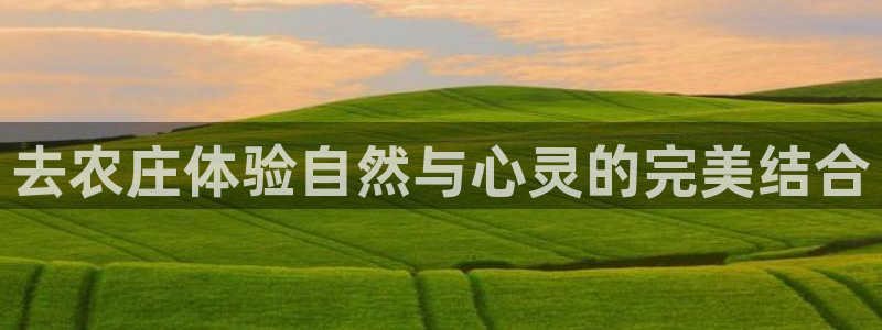 pg电子真的能赢钱吗