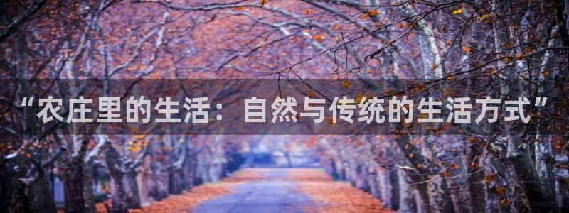 pg电子体验分