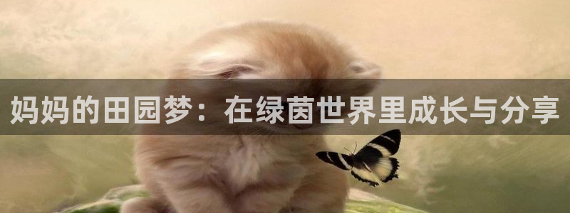 pg电子官方网址