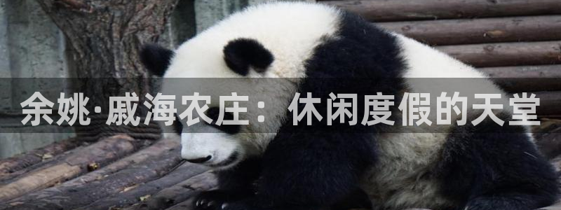 pg电子游戏犯法吗