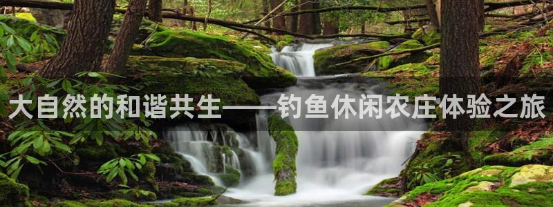 电子PG大奖视频